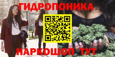 индика Рязань