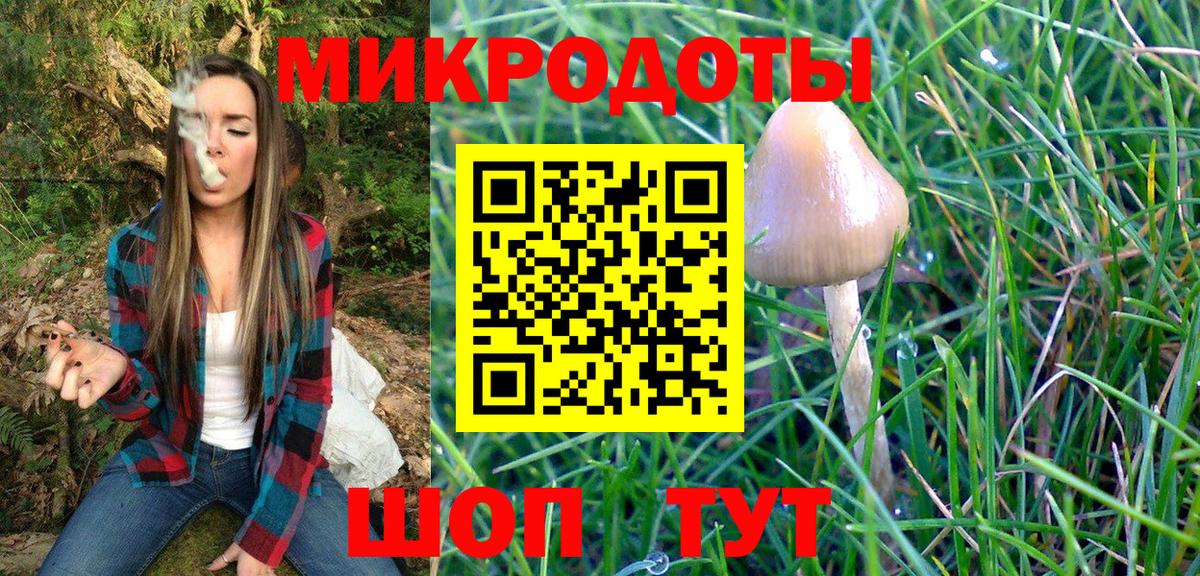 Псилоцибиновые грибы мицелий Рыбинск